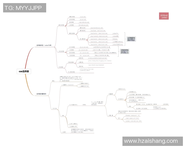 深入解析足球初盘技巧助你精准预测比赛结果
