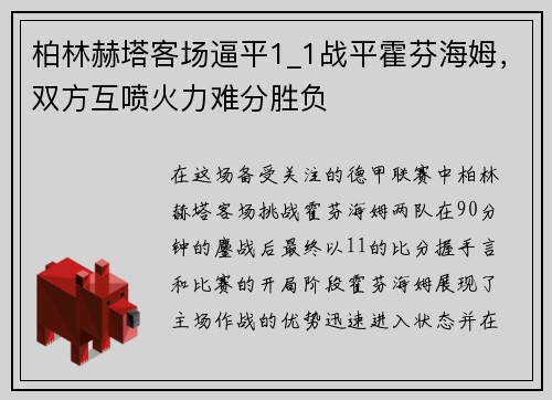 柏林赫塔客场逼平1_1战平霍芬海姆，双方互喷火力难分胜负